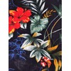 Moss Rose - Kimono de playa para mujer con estampado