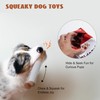 Nocciola 3 Packs Squeaky Puff Stick Toys with a Box,