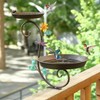 Deck Bird Bath and Feeder, Detachable Metal Bird Baths for