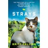 Strays: The True Story of a Lost Cat, a Homeless