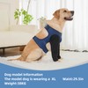 Dog Sleeves for Wounds Both Front Legs，Cone Collar Alternative, Abrasion