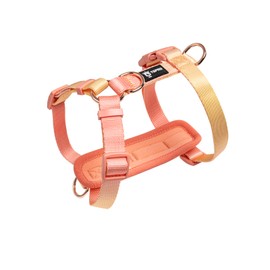 TSPRO Dog Harness for Small Dogs, No Pull Dog Harness, Lightweight, Adjustable, Gradient Colour Harness for Dogs with Quick Release, Breathable and Durable (Orange Yellow, Size 1)