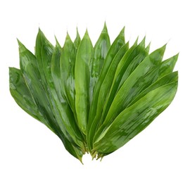 150 pcs Fresh Banana Leaves for Cooking,Large Leaf Zongzi Bamboo Leaves,Banaba Leaf Sushi Decoration for Food,Green Bamboo Leaves Vacuum Packing