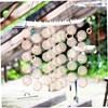 Garneck Pack of 50 Round Natural Shell Discs with Holes