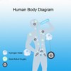 Hydrogen Generator Water Bottle 420ml SPE PEM Technology Water Ionizer