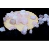 Jet Rose Tumbled Stone 100 Grams Approx. 0.75" to 1"inch