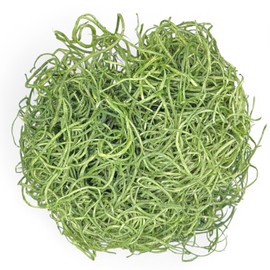 MIJOMA Decorative Grass for Crafts: Wooden Fibres for Crafts, Easter Grass for Nest and Gifts, 30 g, Various Colours (Dark Green)