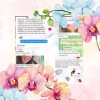 CONSCIENCIA CONSCIENTE Crema Facial Manchas Paño Cicatrices Arrugas Orgánica