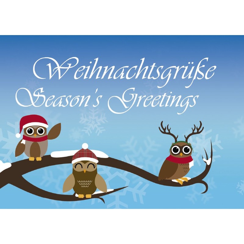 12 Postkarten - Mix Eulen Weihnachten Weihnachtskarten 6 verschiedene Motive