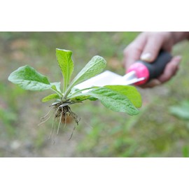 Save Industry Replanter Heavy Duty Root Cutting Scoop (Rip Tip, Elongated Scoop)