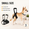 Adjustable Dog Rear Leg Lift Harness – Padded Hind Leg