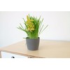Tymar Flowerpot, pack of 2, round shape, planter, crochet look