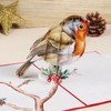 Robin Pop Up Christmas Cards 3D Single Xmas Card for