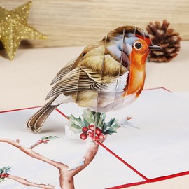 Robin Pop Up Christmas Cards 3D Single Xmas Card for Mum Dad Parents Grandma Friend Robin on Holly Tree Medium Size 12.7x17.8cm