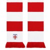 England Embroidered Knit Bar Scarf