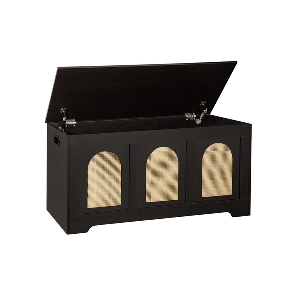 DINZI LVJ Storage Chest, 39.4" Rattan-Like Storage Box with 2