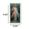 Holy Lines Laminated Divine Mercy Chaplet Prayer Card with Our