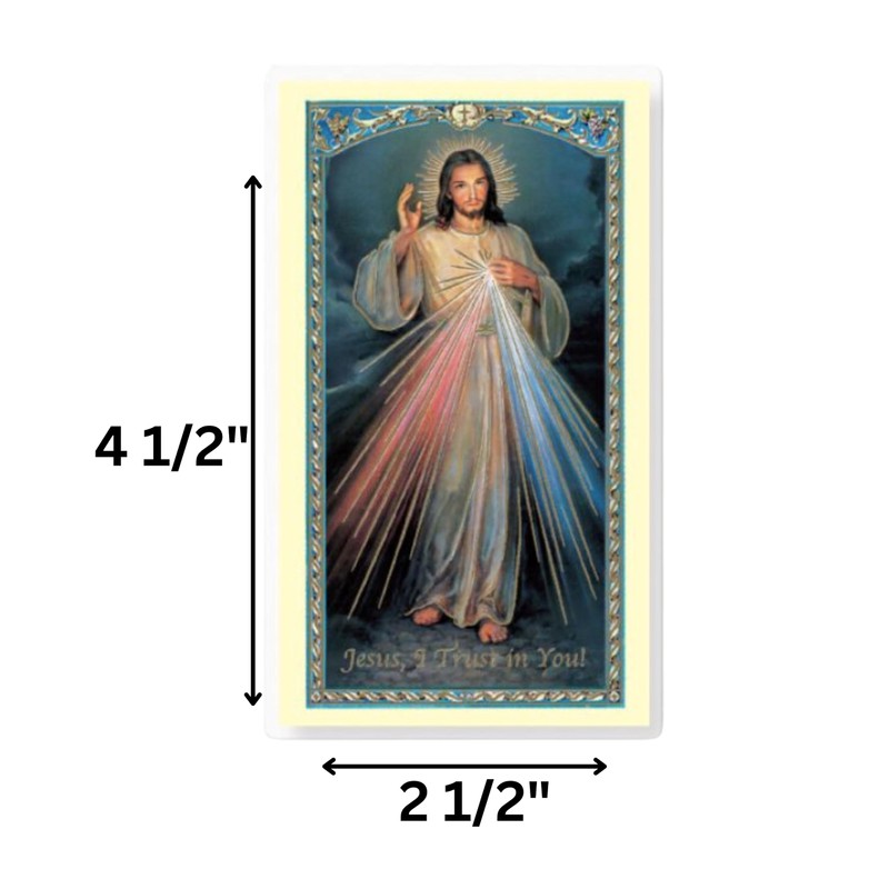 Holy Lines Laminated Divine Mercy Chaplet Prayer Card with Our