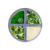 Mystic Sprinkles St. Patrick's Day 4 Cell Sprinkle Assortments (Clover