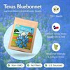 Created By Nature Texas Bluebonnet Seeds, 750+ Wildflower Seeds, Texas