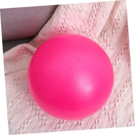 BESPORTBLE Ball Exercise Ball for Full Body Workout 25cm Balance Strength Training