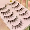 Beary Lashes | Nautural/Dramatic False Eyelashes, Pack of 10, No.9