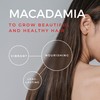 Bendida Permanent Hair Colour 120 ml with Macadamia Oil and
