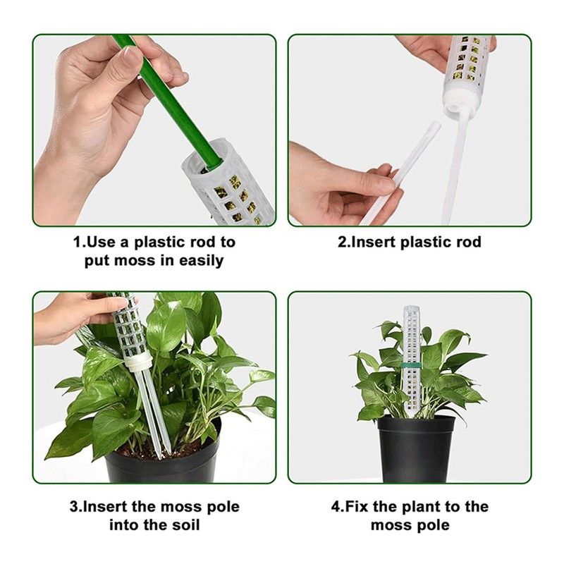 6PCS Plastic Moss Poles for Monstera Small Medium Climbing Plants