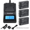 Kastar DMW-BLD10 Battery (3-Pack) and Ultra Fast Charger Kit for