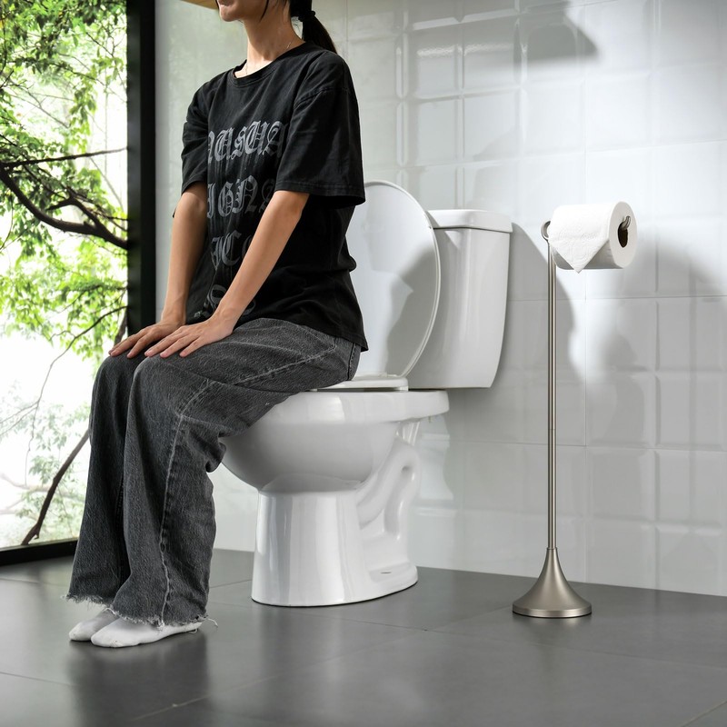 simpletome Toilet Paper Holder Free Standing, Stable Weighted Base, Modern
