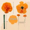 Kinearcharms 60 Cabezas de Flores Artificiales de caléndula de Seda,