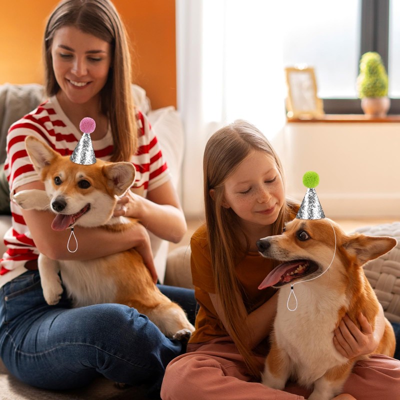 Hooqict 10 PCS Mini Small Party Hats for Stuffed Animals