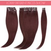Loxxy Wine Red Seamless Clip in Hair Extensions Human Hair