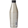 Redken Shampoo Frizz Dismiss, 300 ml
