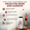 Ancestral Supplements Grass Fed Bone Marrow â€” Whole Bone Extract