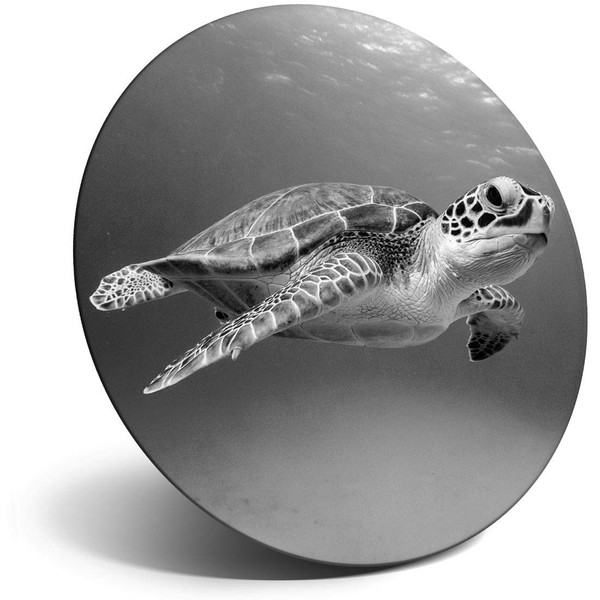 Destination Vinyl ltd Magnet for Refrigerator, Fridge BW - Cute