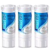 ICEPURE Compatible With GE®XWF GE French doors and side-by-side