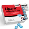 Ligara® for Levkerusen Fan Item Gift Birthday Fans (1 x