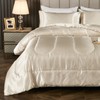 Bedding_Dreamer Satin Comforter Queen Silk Like Cream Comforter Silky Alternative