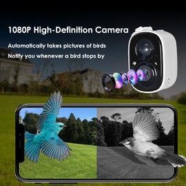 AIOMEST Smart Bird Feeder with Camera and Solar Panne, 1080P HD Fully Color Night Watching Birds, Auto Capture Bird Videos Smart AI Identify 10000+ Bird Good Gifts for Family