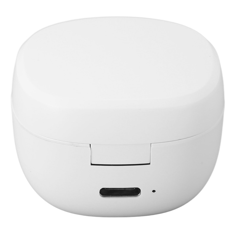 Language Translator Earbuds BT5.0 Noise Canceling 74 Languages 70 Accents