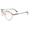Classic Vintage Retro Spring Hinge Gold Frame Oval Reader 2.00