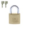 Burg Wächter 222 30 Brass Padlock 30mm-222 SB, Gold, Silver