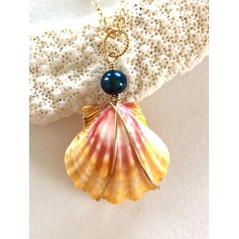 Large Sunrise Shell Necklace, Hawaiian Sunrise Shell, Shell Necklace, Beach Girl, Ocean Jewelry, Sunrise Shell, 14K Gold Fill.
