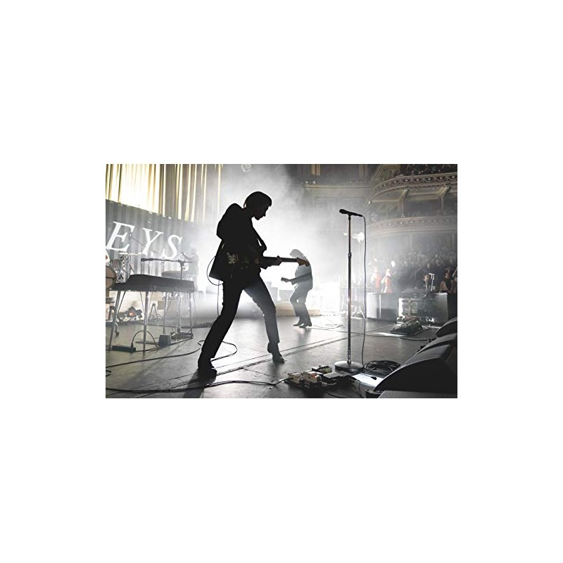 Arctic Monkeys Live at the Royal Albert Hall