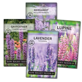 Sow Right Seeds - Bee Seed Collection for Planting - Bergamot, Gayfeather, Lavender and Lupine - Seed Kit for Pollinators - Non-GMO Heirloom with Instructions to Plant & Grow - Makes a Great Gift