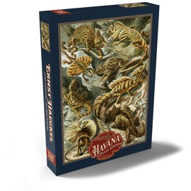 MyPuzzle Lizards (Lacertilia) - Art Forms in Nature, Vintage Art Poster, Ernst Haeckel - Premium 500 Piece Puzzle - MyPuzzle Special Collection by Havana Puzzle Company