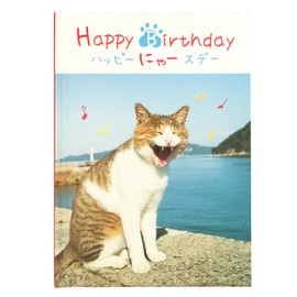 Gakken Staful Birthday Card, Happy Birthday Masayuki Oki Cat B10045