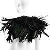 HOMELEX Gothic Black Natural Feather Cape Shawl with Choker Collar