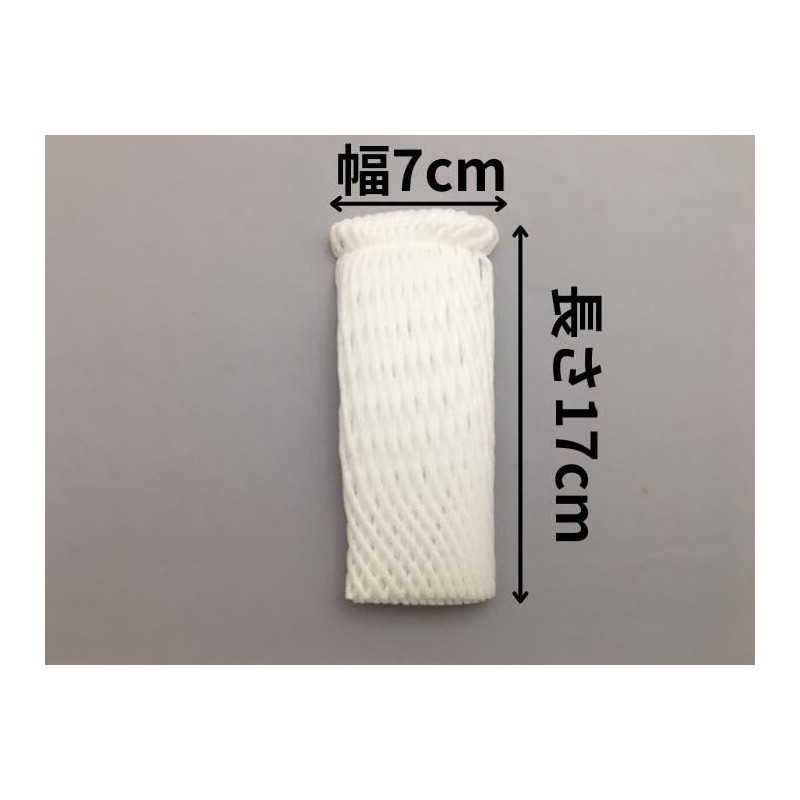 Fukuroya Bio Fruit Cap TSW-17 White Double 10000373 6.7 inches